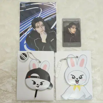 straykids 스키즈 dominate 에코파 리노
