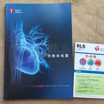 BLS 일차 구명 처치 프로바이더 매뉴얼 AHA