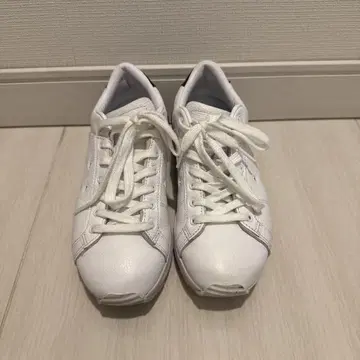 오니츠카타이거