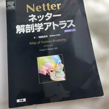 네터 해부학 아틀라스 제5판 재단 완료
