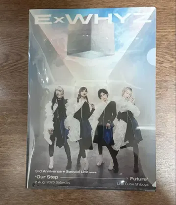ExWHYZ 클리어 파일