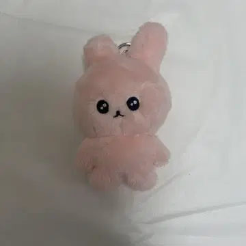 체고심 최고심 마스코트 우사고심