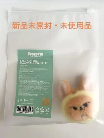 TXT PPULBATU 뿔바투 페이스 키링 퐝춘