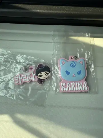aespa 메지루시 액세서리 KARINA