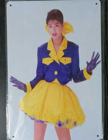 모리타카 치사토 양철 간판 메탈 플레이트 17세