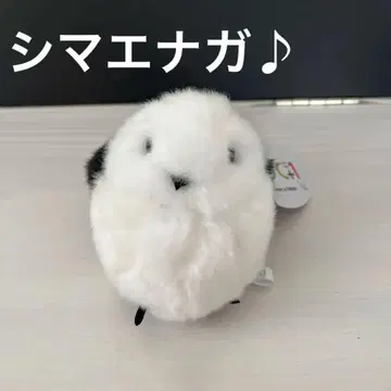 봉제 인형 시마연가 우에노 동물원