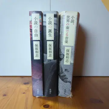 호사카 가즈시 소설의 자유 소설의 탄생 소설, 세계가 연주하는 음악
