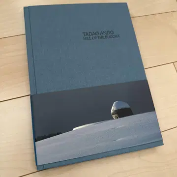 안도 타다오 머리 대불