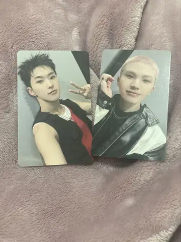 FC CARAT 갱신 혜택 2매 세트 호시우지