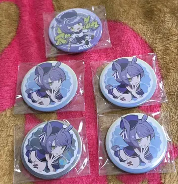 Crazy Raccoon 아데 세트