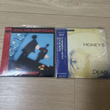 THE JESUS AND MARY CHAIN