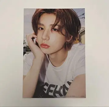 이한 ViVi 엽서
