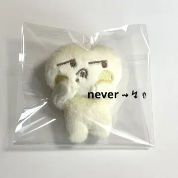 NCT DREAM 지성 마그넷 인형 키링 10cm