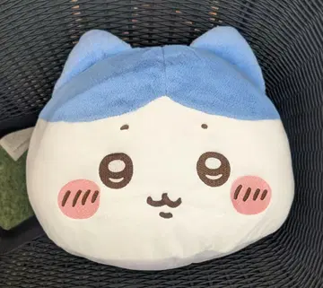 치이카와 프리미엄 돔 쿠션 하치와레