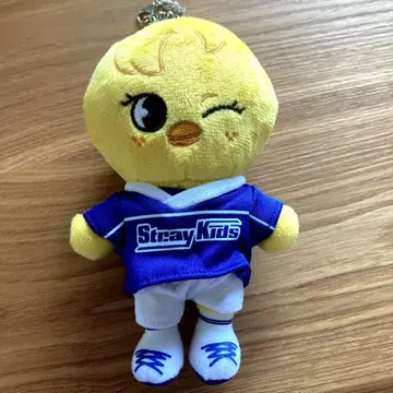 Stray Kids 필릭스 뽀가리 백참