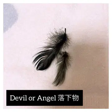 나니와단시 모자 꽁지 보야주 devil or Angel 낙하물 깃털
