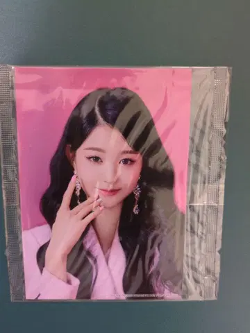 원영 사진