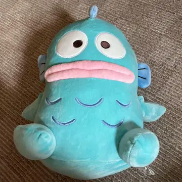 한교동 산리오 봉제 인형