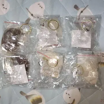 언제나 강아지와 함께! 외출 털 보관 키링