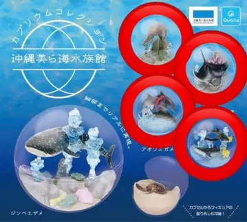 오키나와 츄라우미 수족관 한정 카프리움 컬렉션 4종 징베상어 가챠