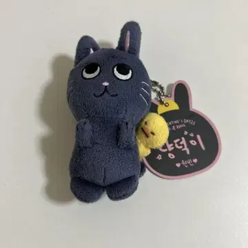 riize 토냥도크 봉제 인형 10cm 발렌타인 md
