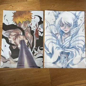 BLEACH 원화전 클리어 파일 이치고 루키아 세트