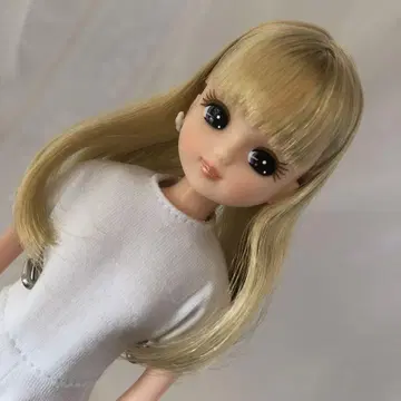 리카 캐슬제