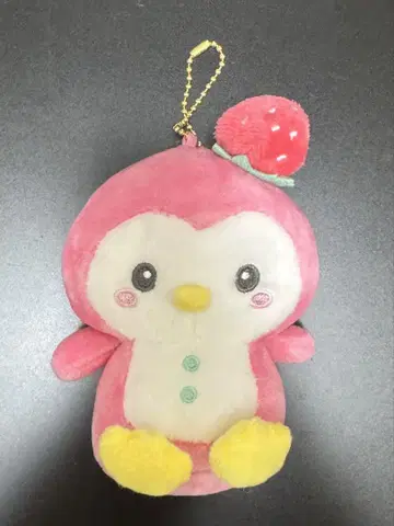 JOCHUM 제오참 초대 봉제 인형