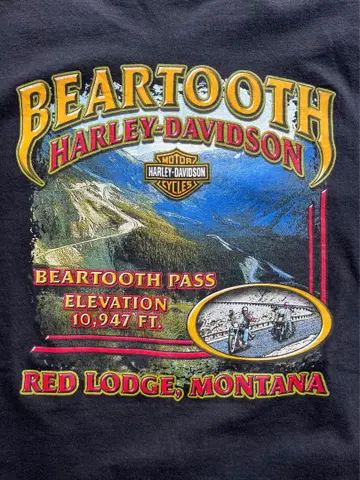 Harley-Davidson Tee USA 제작