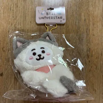 BT21 CAT DAY 봉제 인형 마스코트 RJ