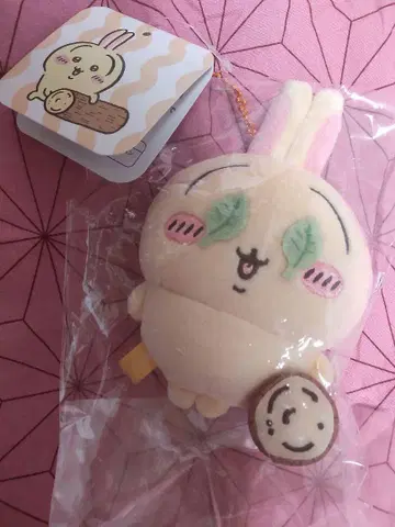 치이카와 (먼작귀) 이거 수박 깨기? 마스코트 (토끼)