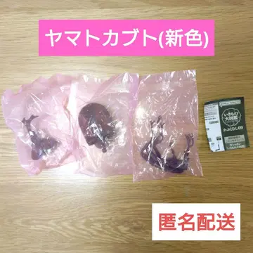 생물대도감 장수풍뎅이09 야마토장수풍뎅이 (적갈색 신색)
