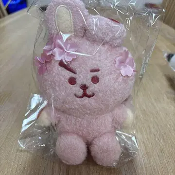 BT21 SAKURA PLUSH_S_ COOKY 봉제 인형