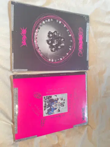 Strayk Kids 앨범