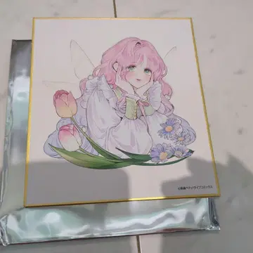 꽃 숨은 너의 메테오전 추첨 혜택 색지 스텔라 미사용