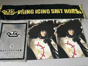 BiSH 라이브 타월과 클리어 파일