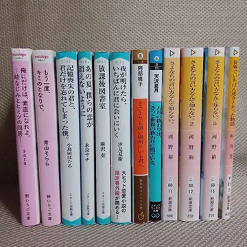소설 문고본 묶음 판매 12권