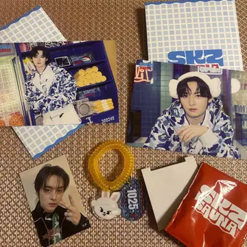 Stray Kids 리빗 리노 스키즈 사우나 POPUP 덤 포함