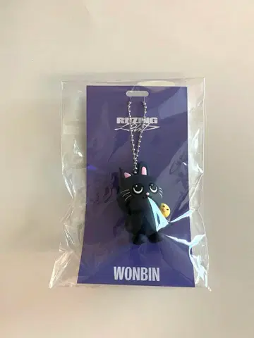 RIIZE 라이즈 러버 키링 원빈 토냥덕