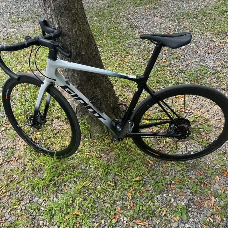 급처) 자이언트 tcr pro 0 ar