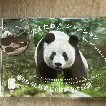 또 만났네! 샹샹 & 캔뱃지