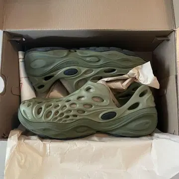 MERRELL HYDRO NEXT GEN MOC 아보카도