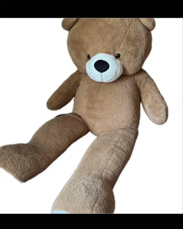 큰 곰 봉제 인형