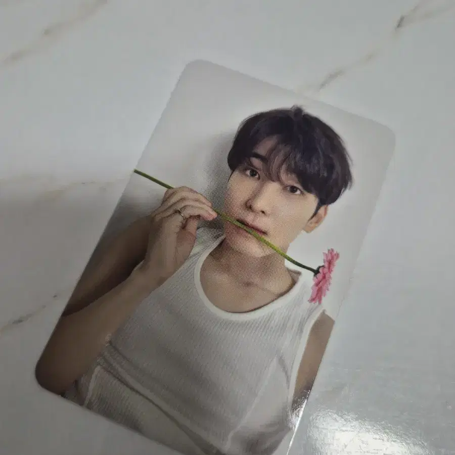 DAY6 | 데이식스 DAY6 Denimals Face Pouch Pil Wonpil Japan MD