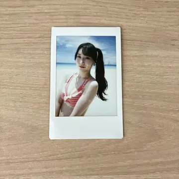 무지개 콘키스타도르 니지콘 키리노 미유 체키