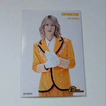 EBiDAN Museum MORRIE