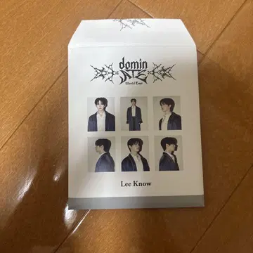 straykids 리노 인스턴트 사진 세트