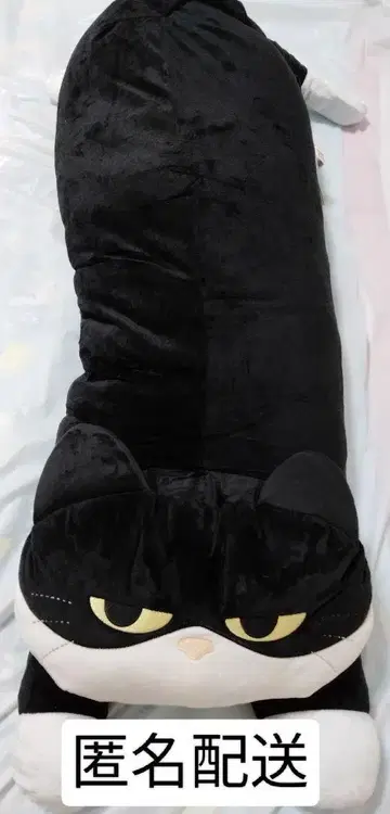 고양이 점보 봉제 인형