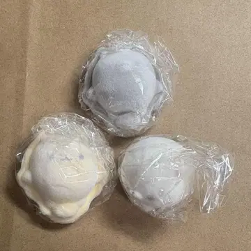 포메라니안 모찌
