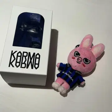 straykids 스키즈 KARMA skzoo 창빈 돼끼